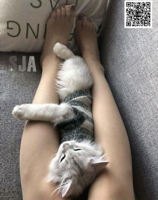 男人添女人吃奶视频免费观看_DVD免费全集观看