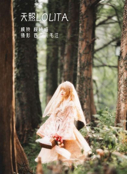 咒在线观看_超清免费电视剧